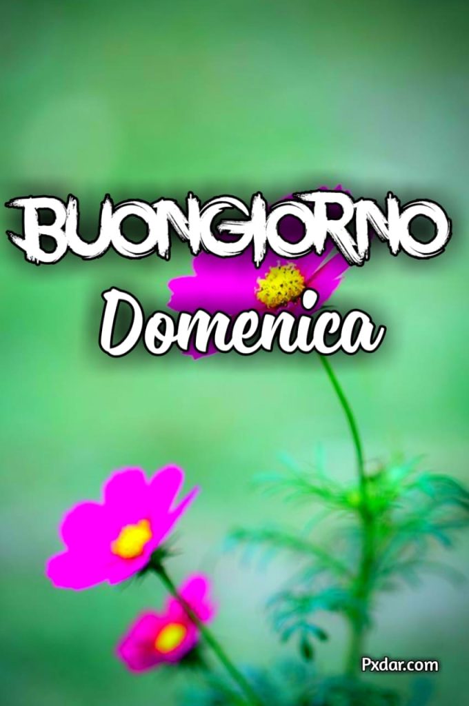 Immagini Buongiorno Domenica