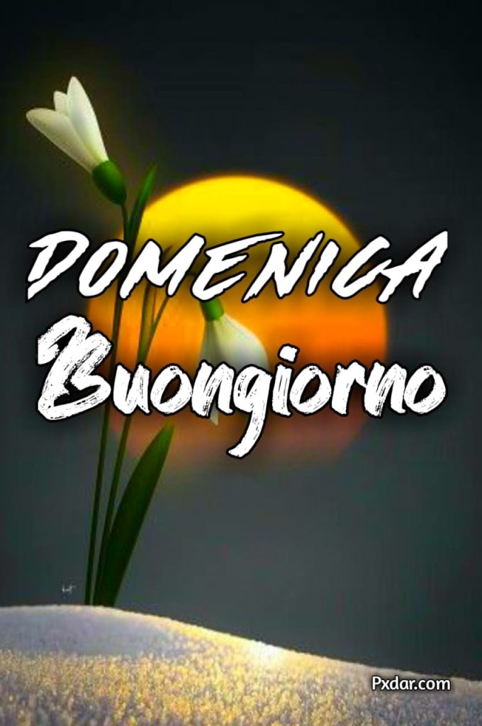 Immagini Di Buona Domenica 2024