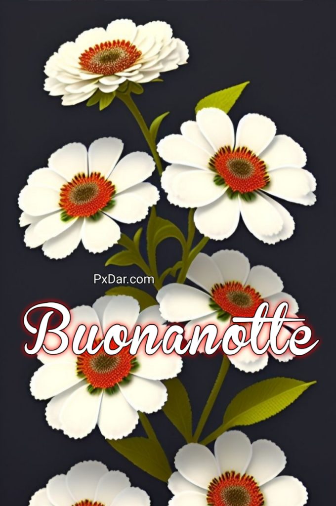 Immagini Di Buona Notte Con Affetto