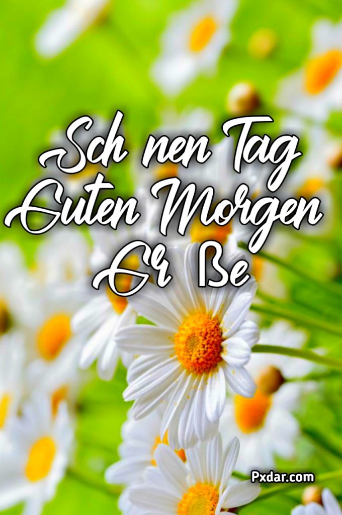 Kostenlose Hintergrundbilder Schönen Tag Guten Morgen Grüße Für Whatsapp