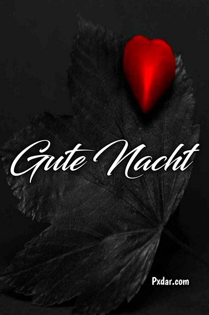 Liebe Lustig Gute Nacht Bilder