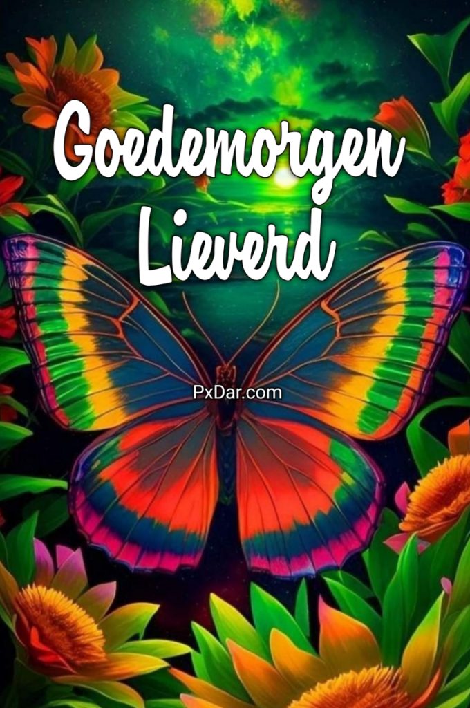 Liefde Goedemorgen Lieverd