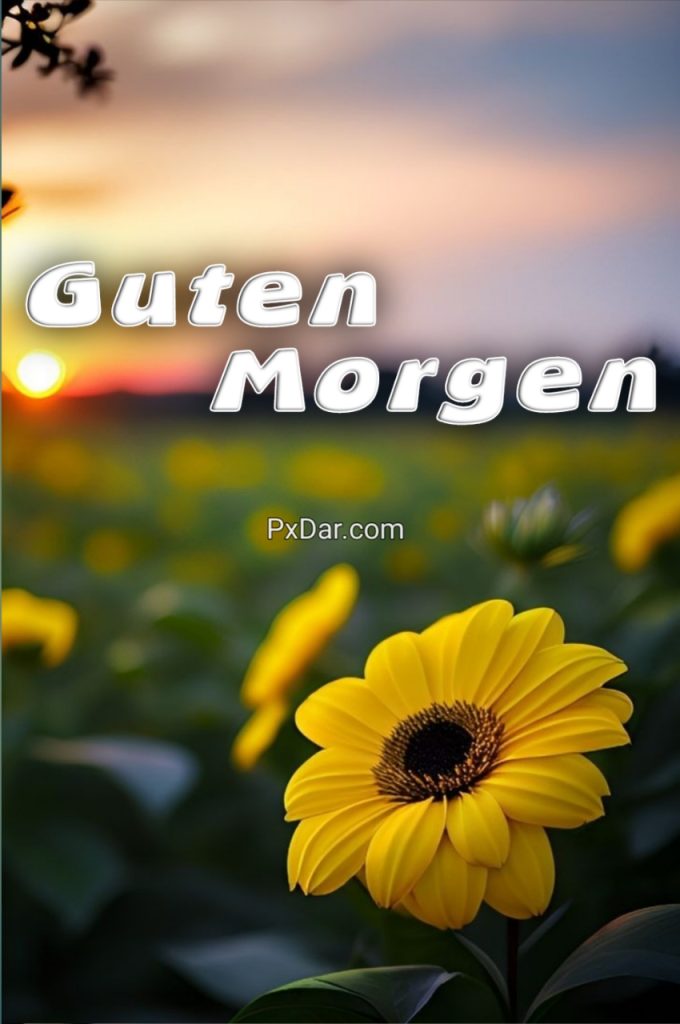 Lustige Guten Morgen Grüße Bilder Kostenlos