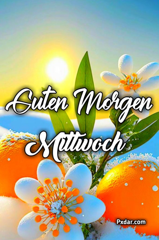 Mittwoch Guten Morgen Bilder