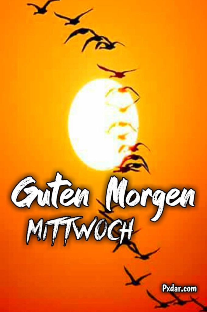 Mittwoch Guten Morgen Bilder Kostenlos