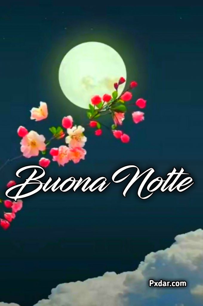 Nuovissimo Buonanotte Immagini Recenti