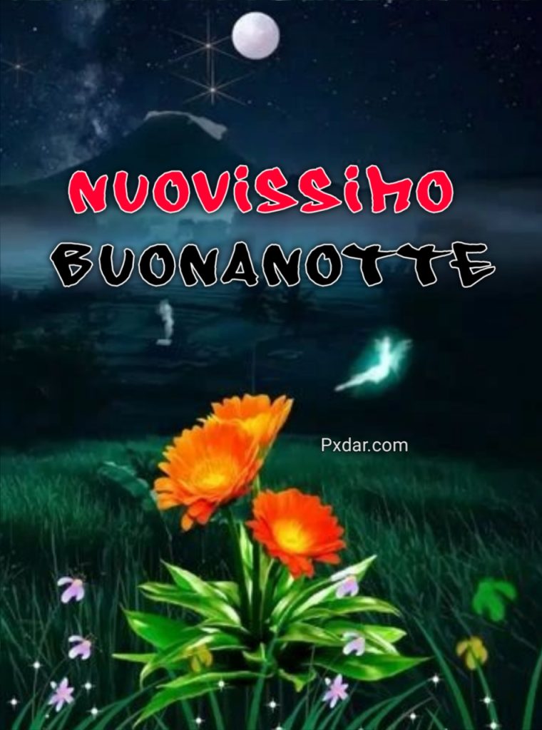 Pietra Rosa Nuovissimo Buonanotte Immagini Recenti Gratis Per Whatsapp