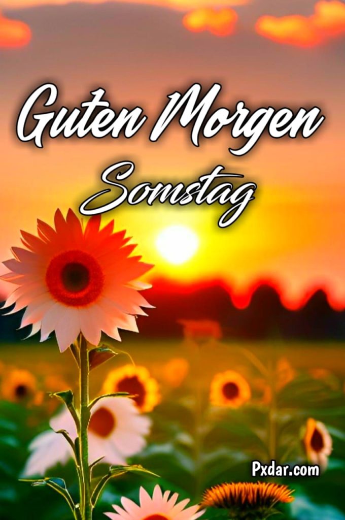 Samstag Guten Morgen Gruß