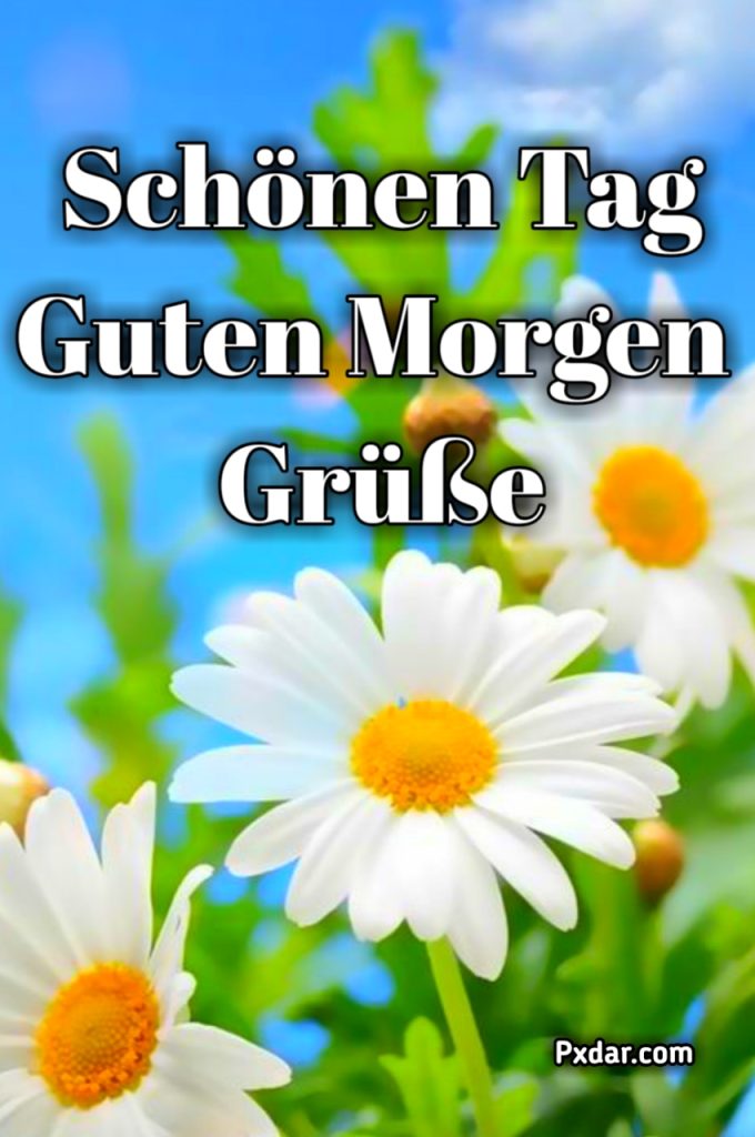 Schönen Tag Guten Morgen Grüße Für Whatsapp