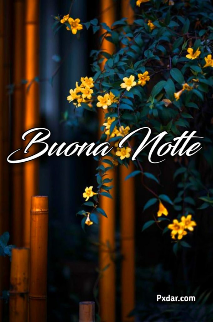 Semplicemente Buonanotte A Domani