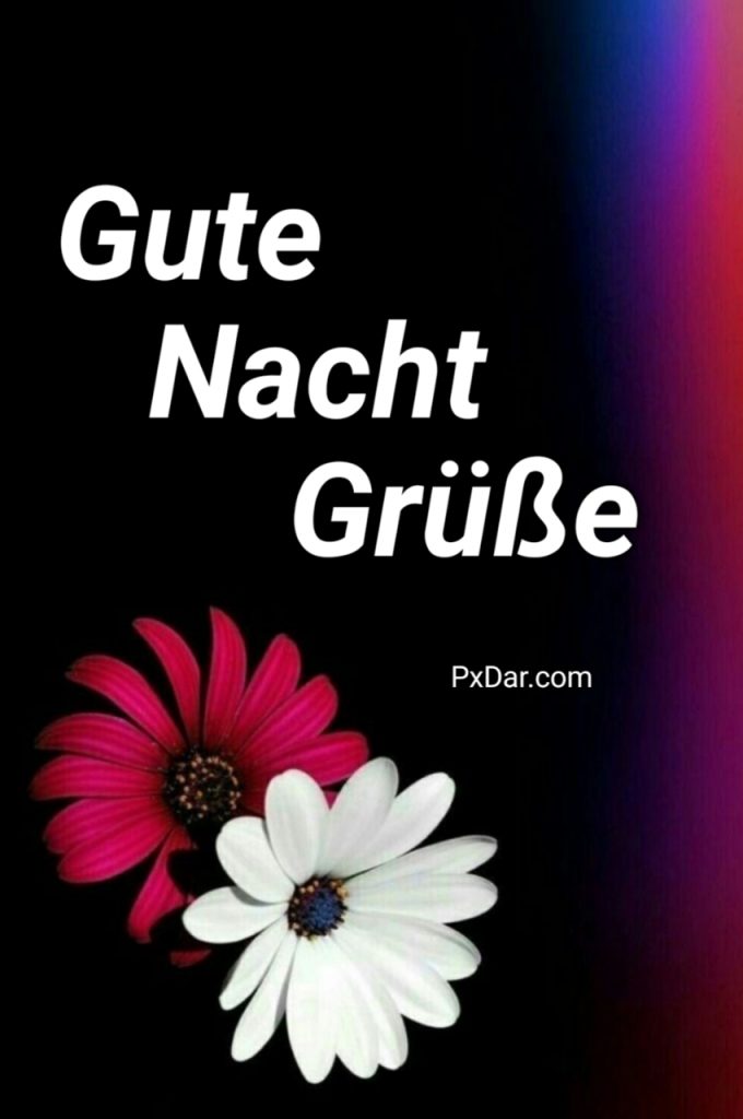 Umarmung Ganz Liebe Gute Nacht Grüße