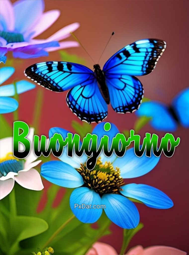 Whatsapp Bellissime Buongiorno Immagini Nuove