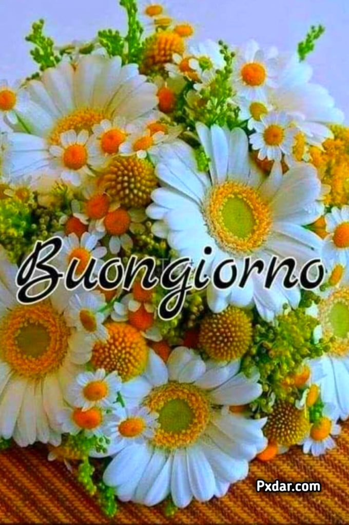 100 Immagini Buongiorno Gif Nuove Gratis Per Whatsapp