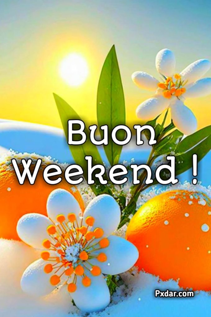 Buongiorno Buon Sabato Buon Weekend