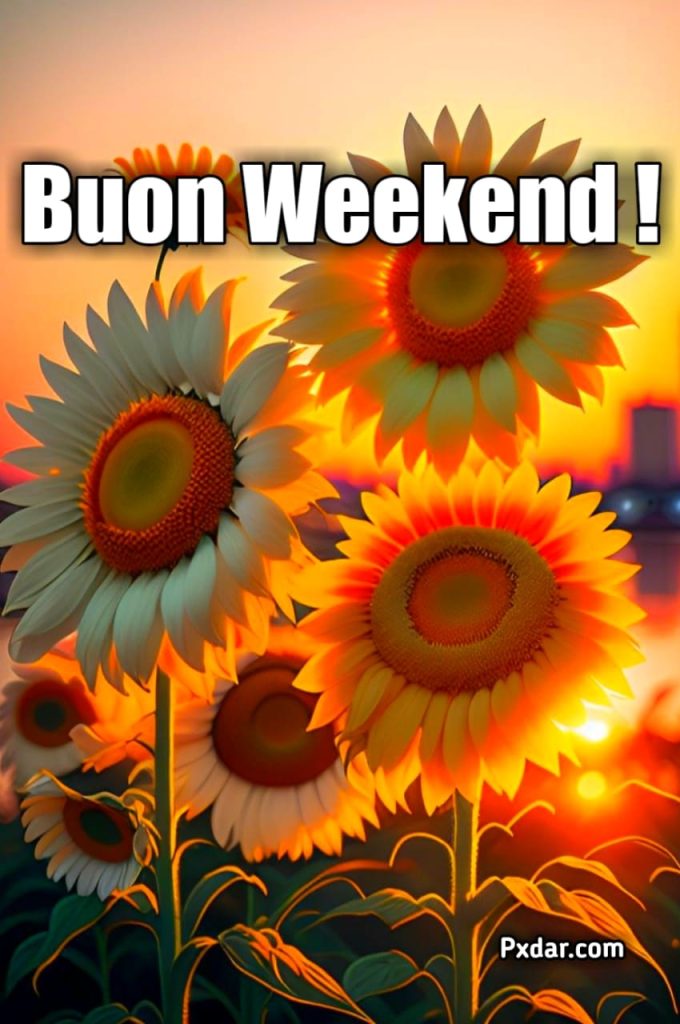 Buongiorno Buon Weekend Le Fate Del Sole