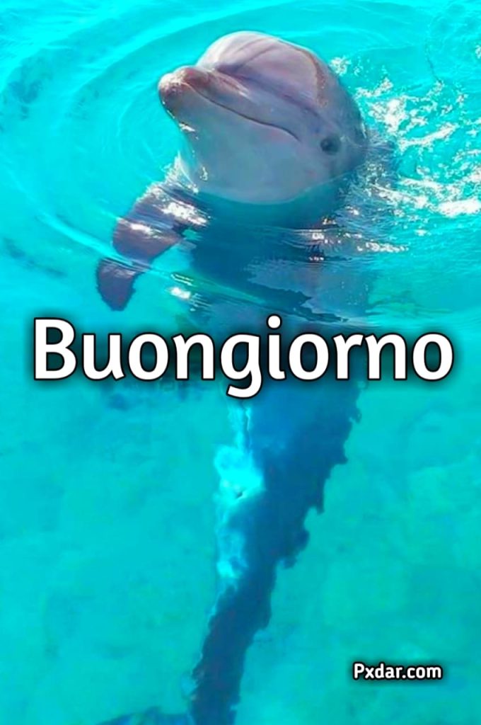 Buongiorno Buona Domenica Estiva