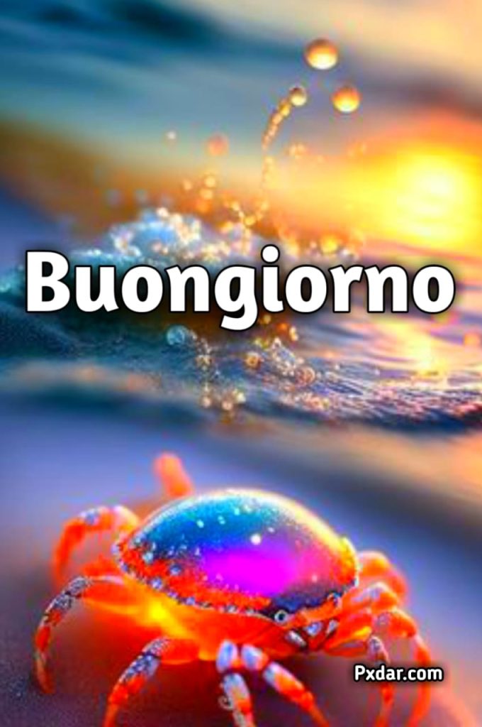 Buongiorno Estivo Divertente