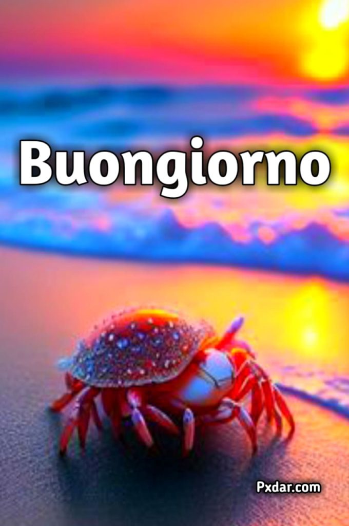 Buongiorno Estivo Immagini Nuove