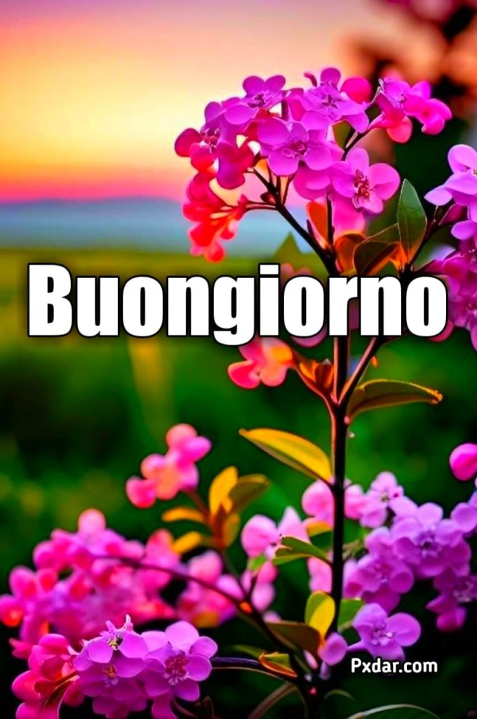 Buongiorno Mamma Ultima Puntata