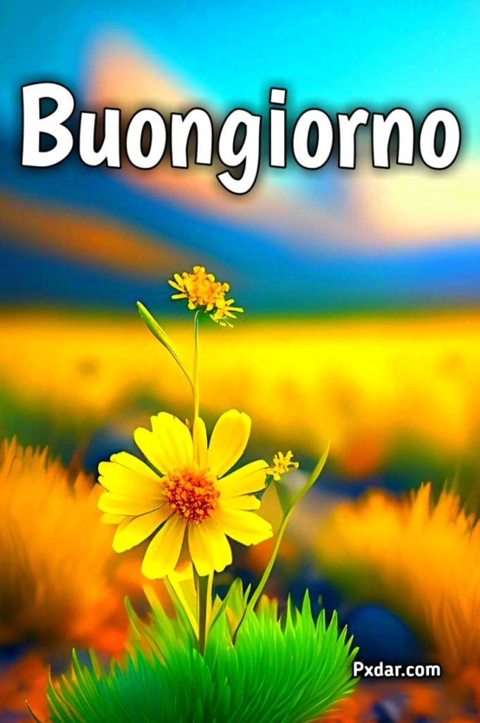 Buongiorno Ultimo Giorno Di Agosto