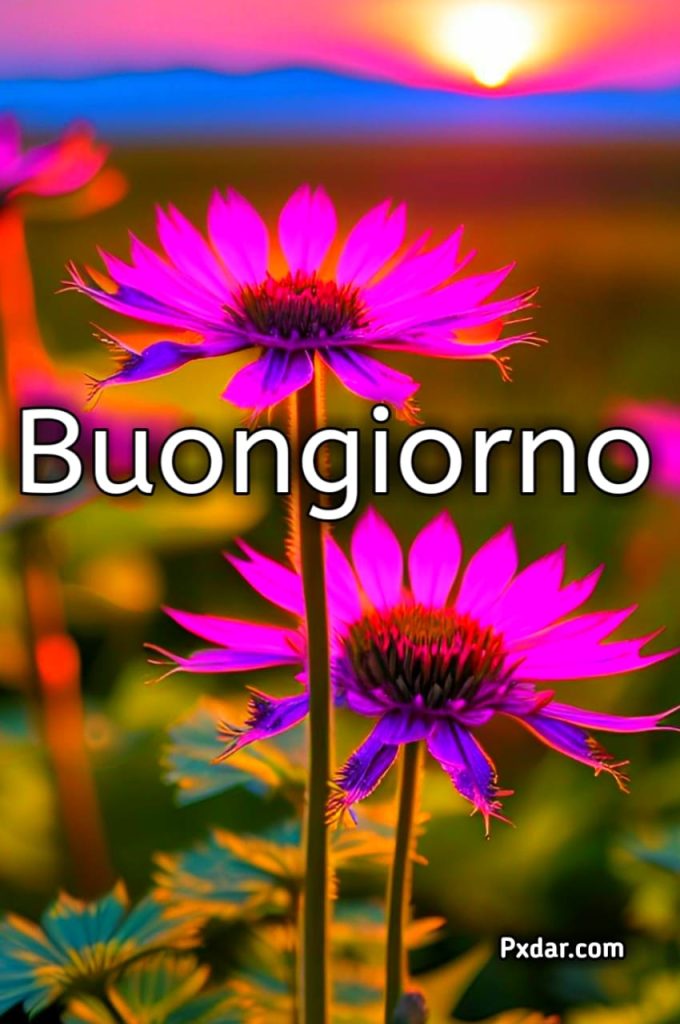 Buongiorno Ultimo Giorno Di Maggio