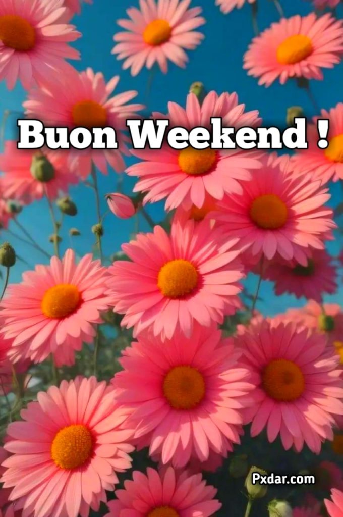 Immagini Buon Weekend Gif