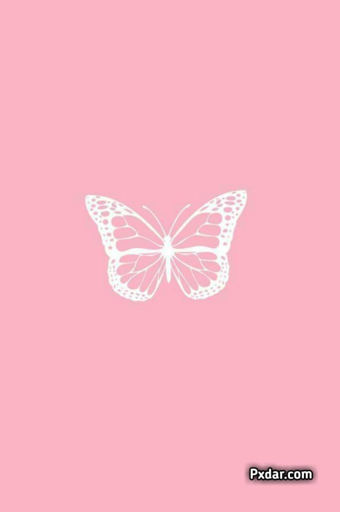 Pastel Pink Background