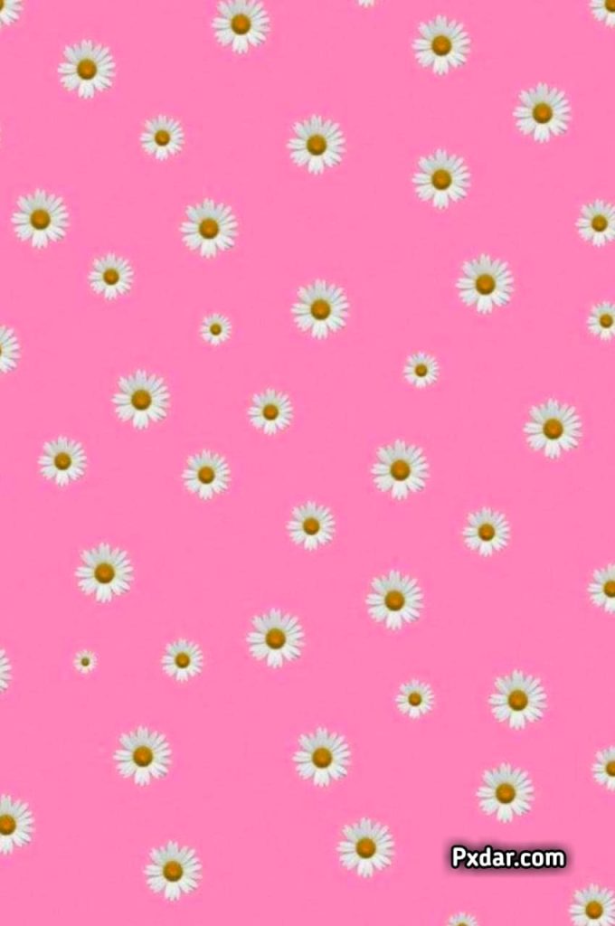 Pink Preppy Wallpapers