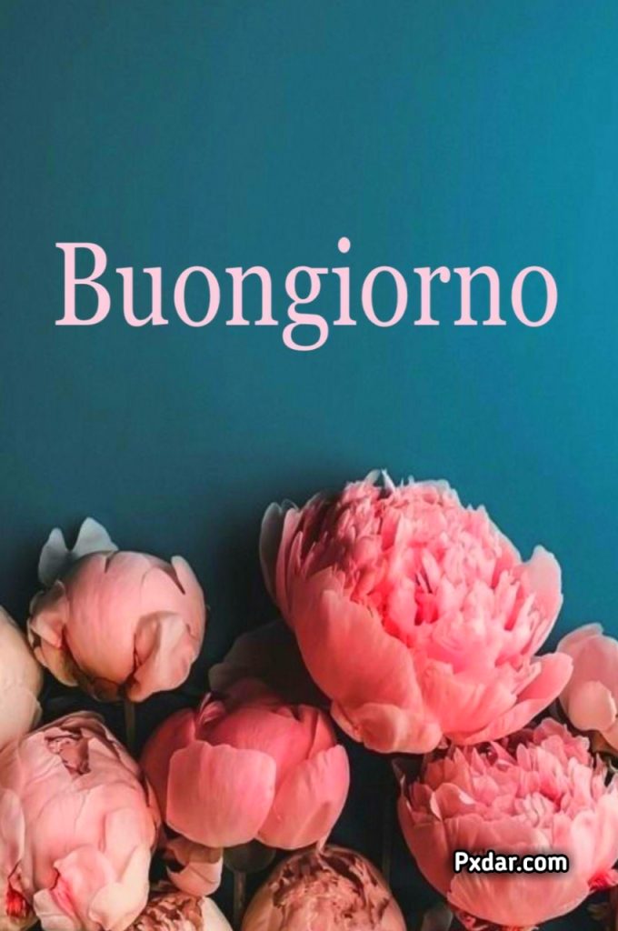 Semplicemente Buongiorno Immagini Nuove Gratis Per Whatsapp