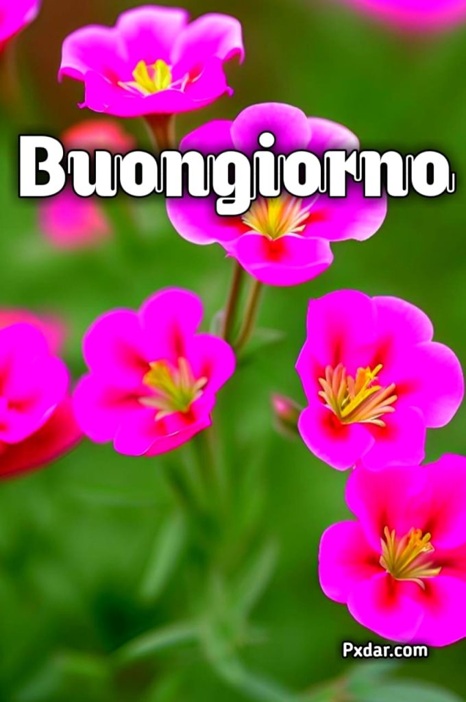 Ultimo Giorno Di Febbraio Buongiorno