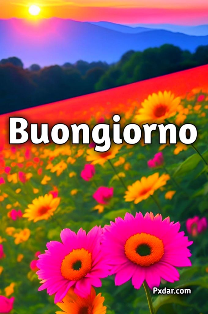 Ultimo Giorno Di Novembre Buongiorno