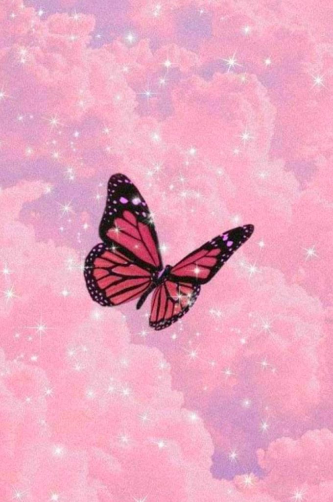 Aesthetic Butterfly