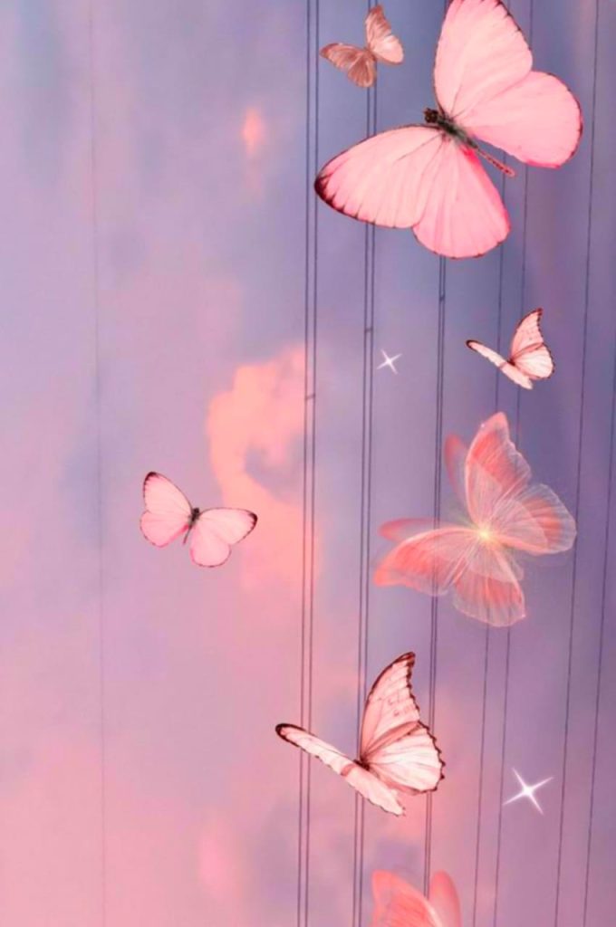 Butterfly Background