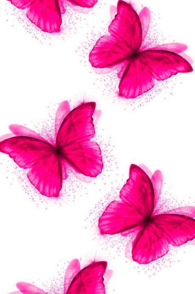 Butterfly Background Aesthetic