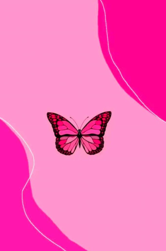 Cute Butterfly Wallpaper