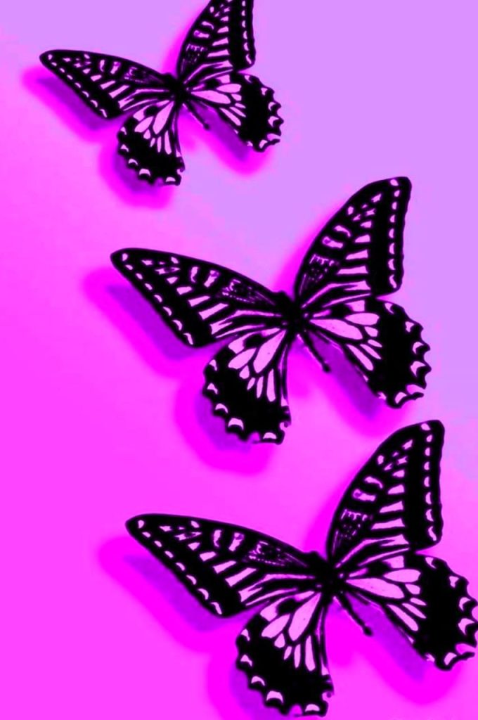 Pink Butterfly Wallpaper