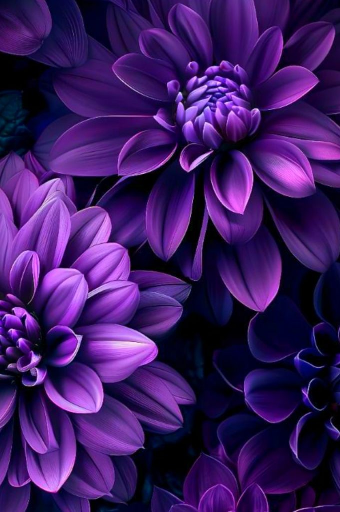 Dark Purple Aesthetic Wallpaper Desktop