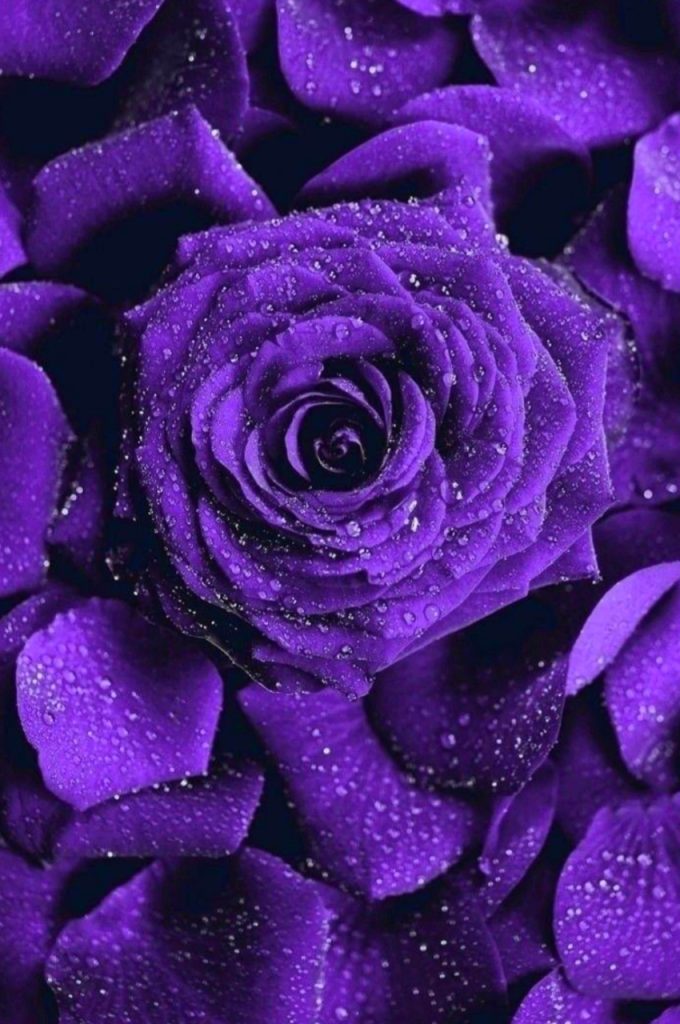 Purple And Blue Wallpaper