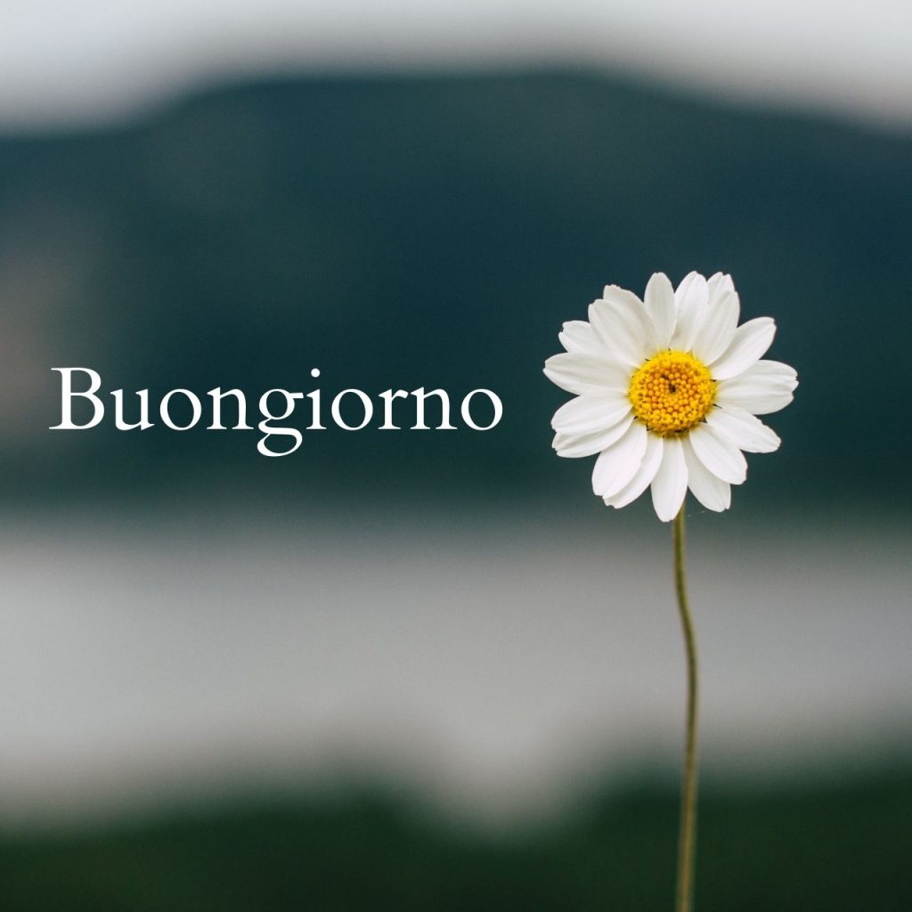 100 Immagini Buongiorno Gif Nuove Gratis Per Whatsapp