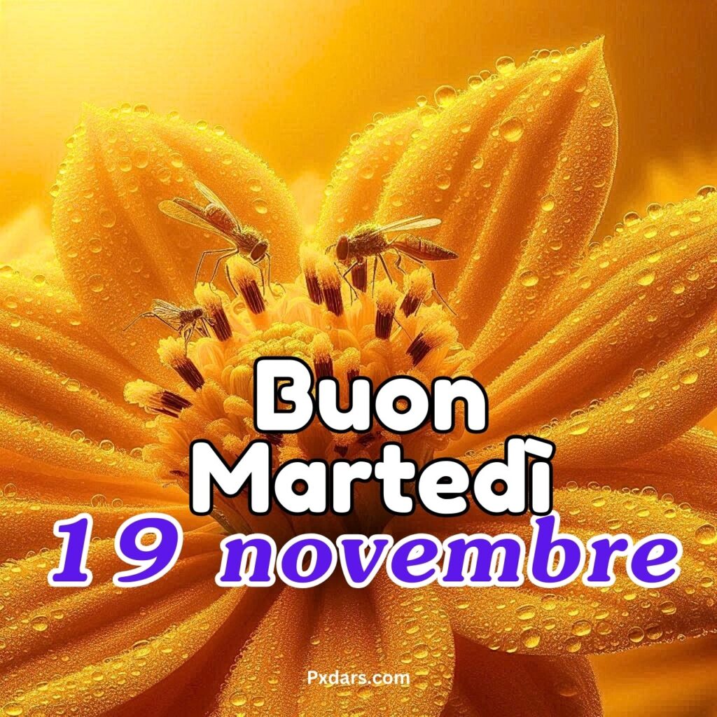 139+ immagini Buon Martedì Buongiorno 19 Novembre Foto 2024